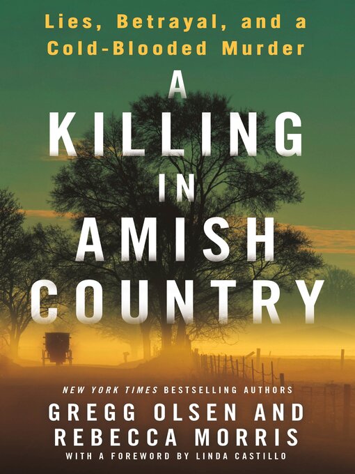 Title details for A Killing in Amish Country by Gregg Olsen - Wait list